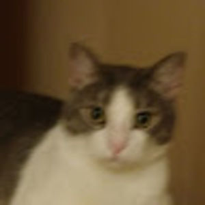 Meet your Posher, Tracey